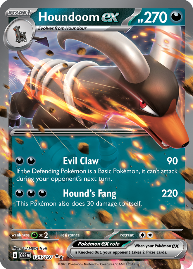 Houndoom ex 134/197