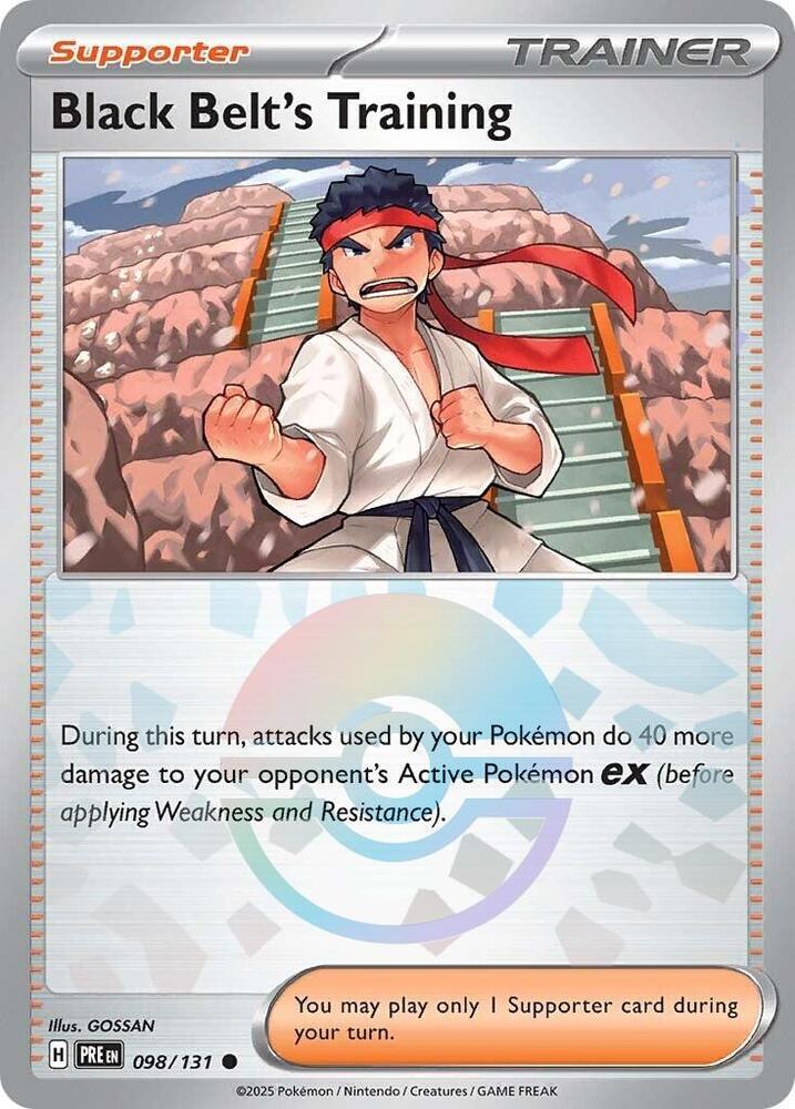 Black Belt's Training 098/131 (Poke Ball Pattern)