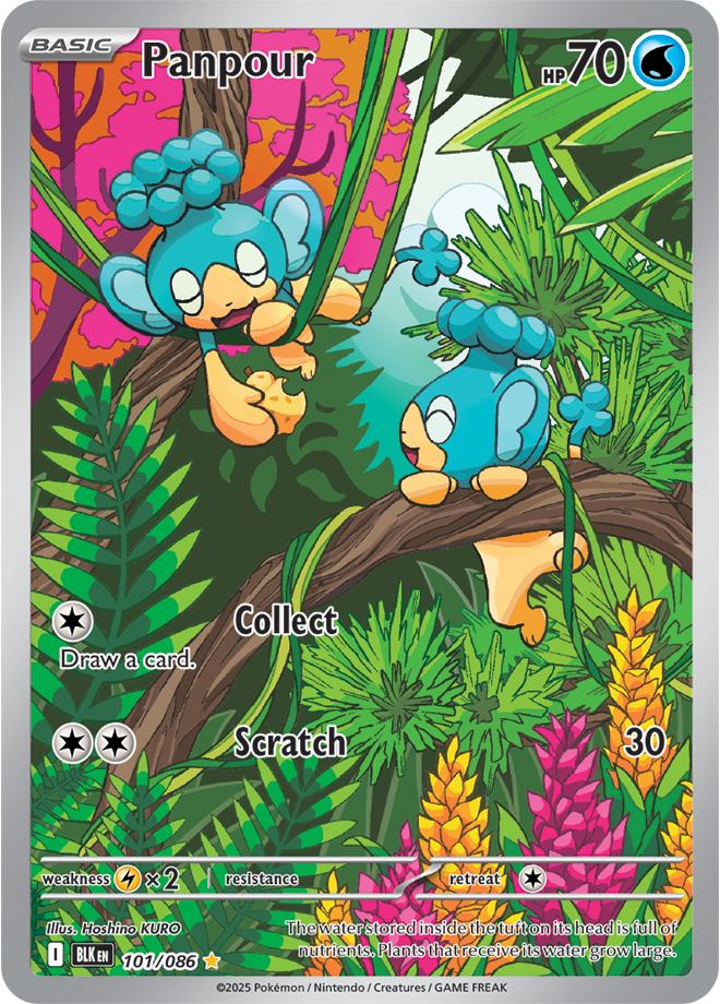 Panpour 101/086 (Illustration Rare)