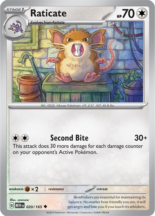 Raticate 020/165