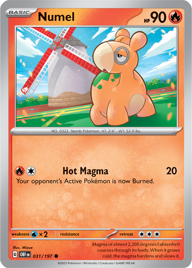Numel 031/197