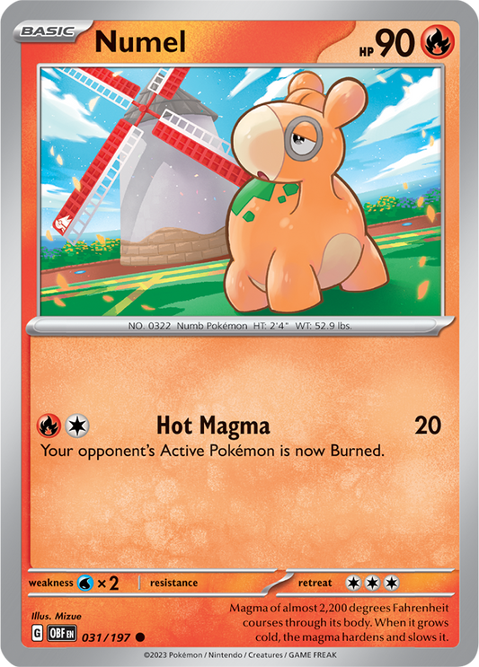 Numel 031/197