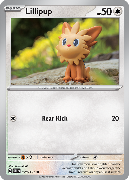 Lillipup 170/197