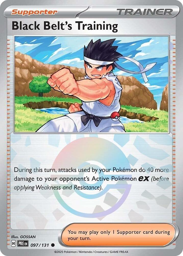 Black Belt's Training 097/131 (Poke Ball Pattern)