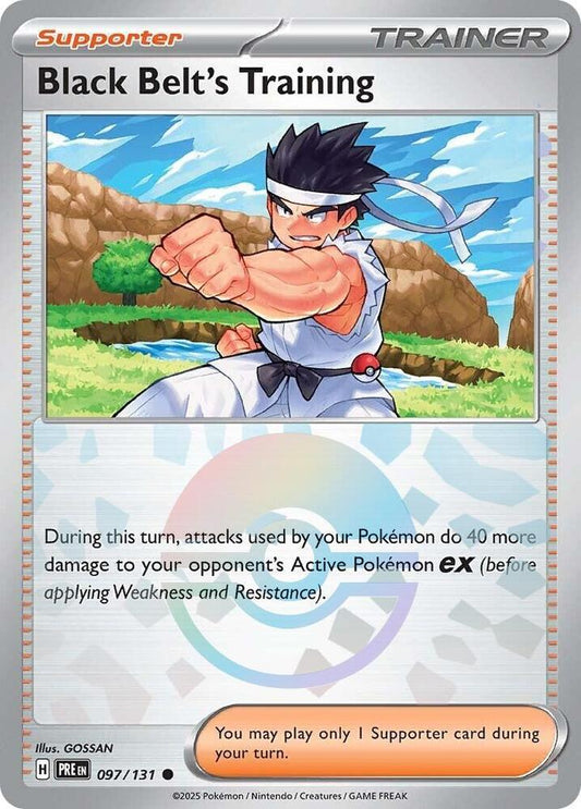 Black Belt's Training 097/131 (Poke Ball Pattern)