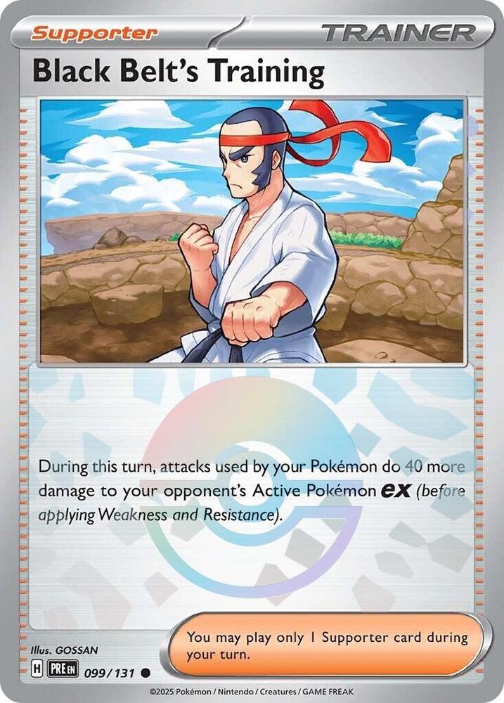Black Belt's Training 099/131 (Poke Ball Pattern)