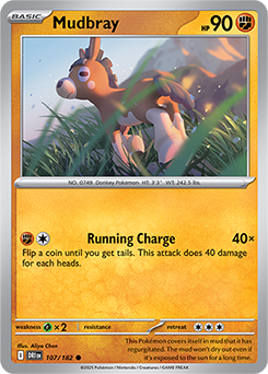 Mudbray 107/182