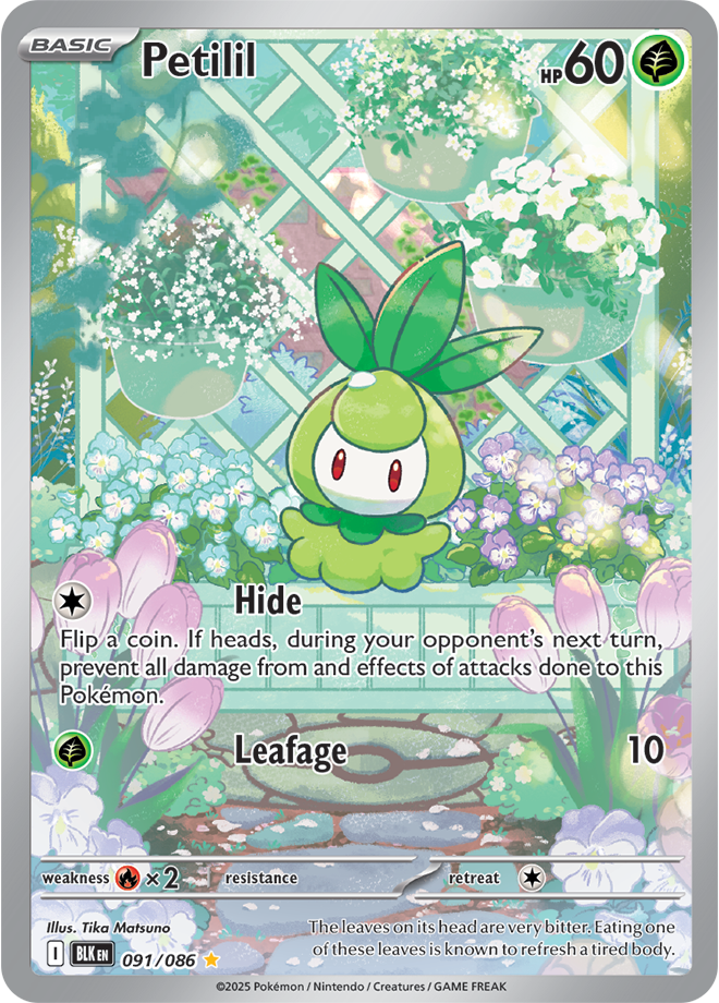 Petilil 091/086 (Illustration Rare)