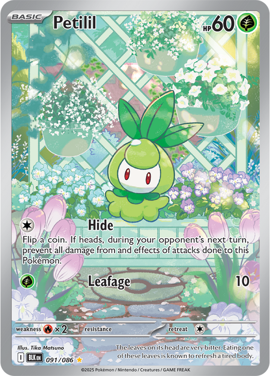 Petilil 091/086 (Illustration Rare)