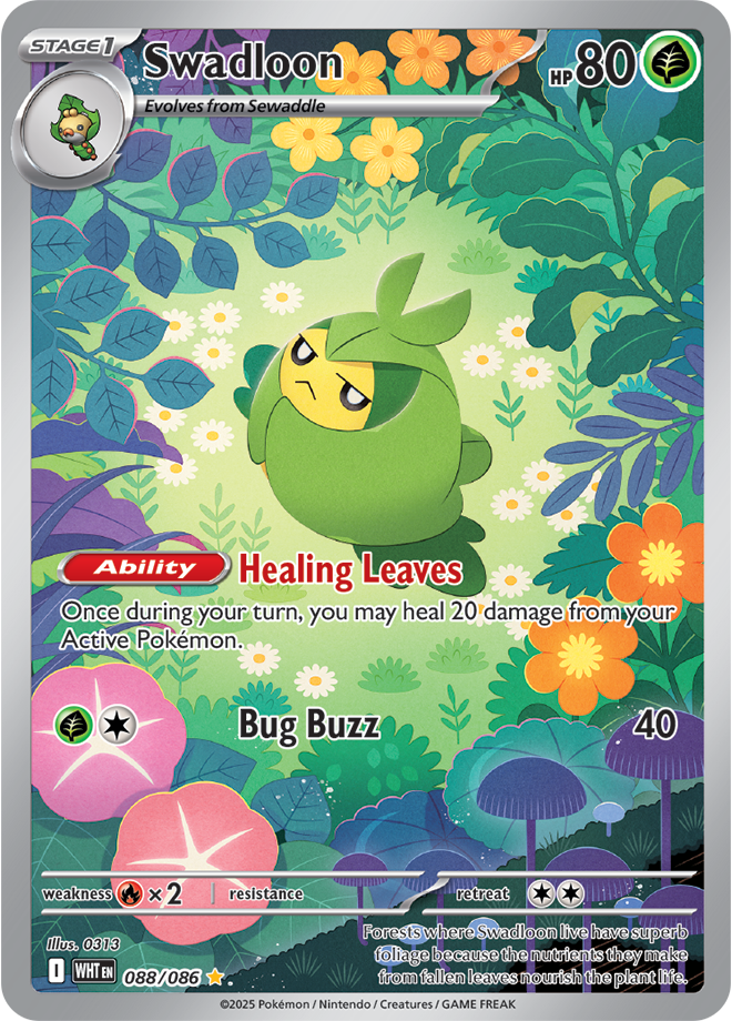 Swadloon 088/086  (Illustration Rare)